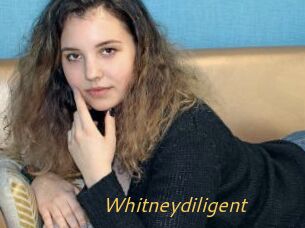 Whitneydiligent
