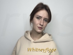 Whitneyfigge
