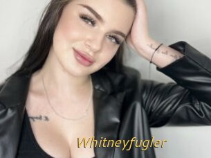 Whitneyfugler