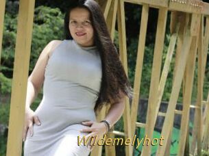 Wildemelyhot