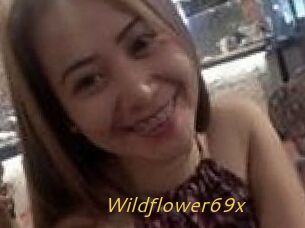 Wildflower69x