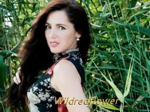 Wildredflower
