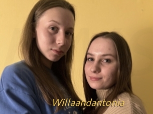 Willaandantonia