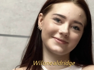 Wilonealdridge