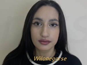 Wilonegorse