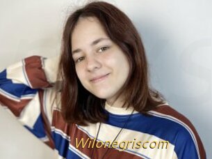 Wilonegriscom