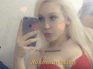 Xoxosnowbunny