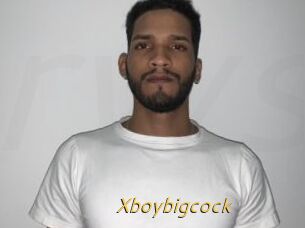 Xboybigcock