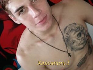 Xescanory1