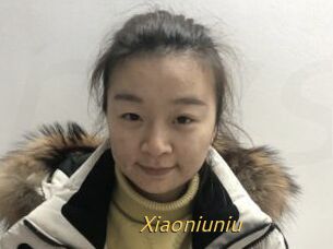 Xiaoniuniu