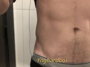 Ynghardboi