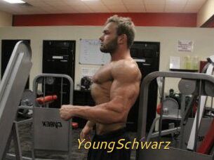 YoungSchwarz