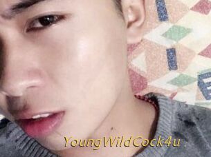 YoungWildCock4u