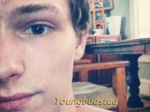 Youngbudstud