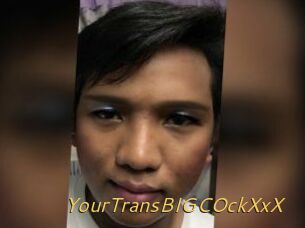 YourTransBIGCOckXxX