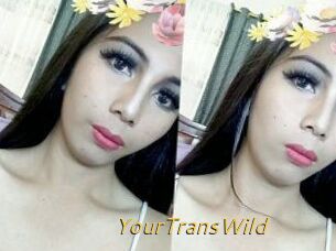 YourTransWild