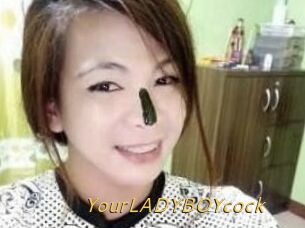 YourLADYBOYcock