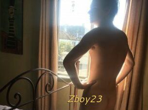 Zboy23