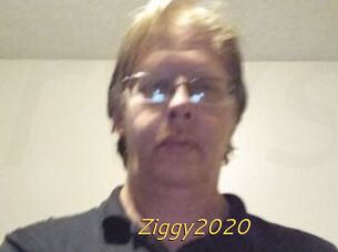 Ziggy2020