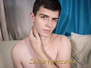 Zacharygonzalez