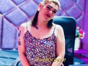 Zairahrosse