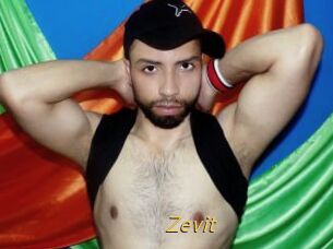 Zevit