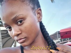 Ziebea22