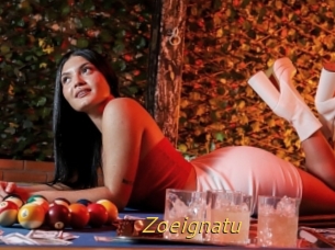 Zoeignatu